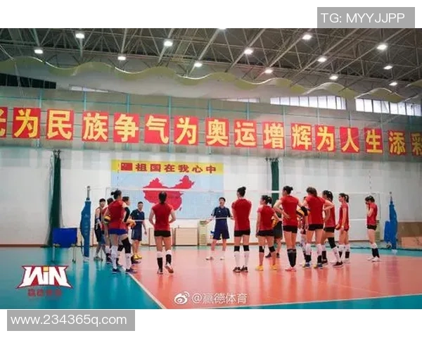 深圳排球队意识变革引发热议推动排球运动新发展